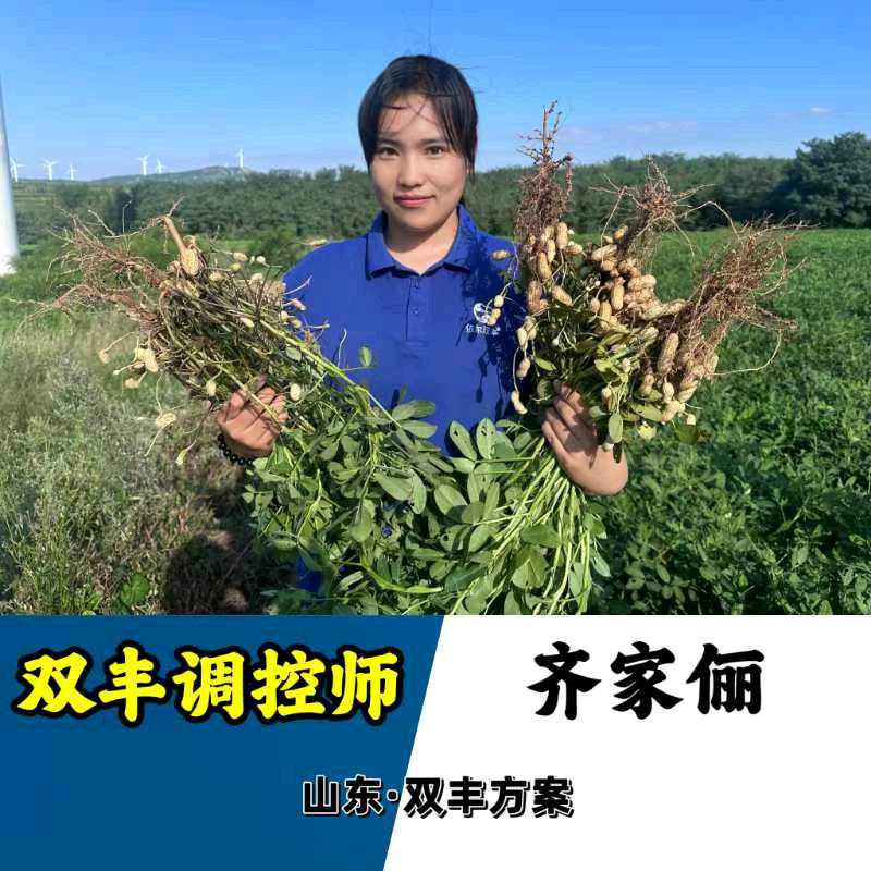 依尔双丰大姜齐老师