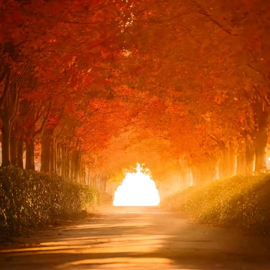 猛踹瘸子那双好腿