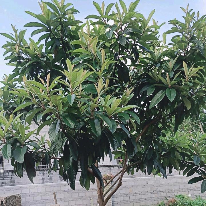 永发水电安装工程队