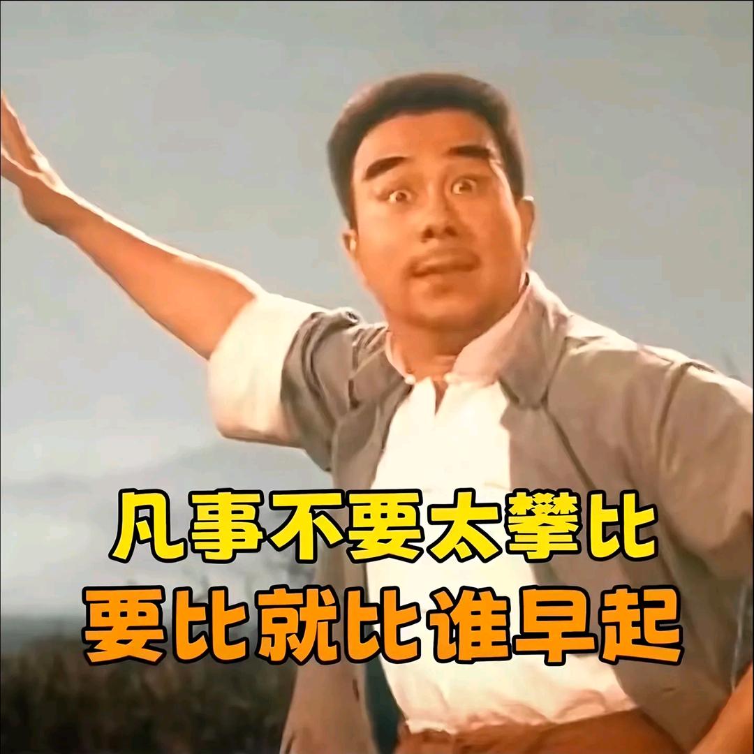 陈木目