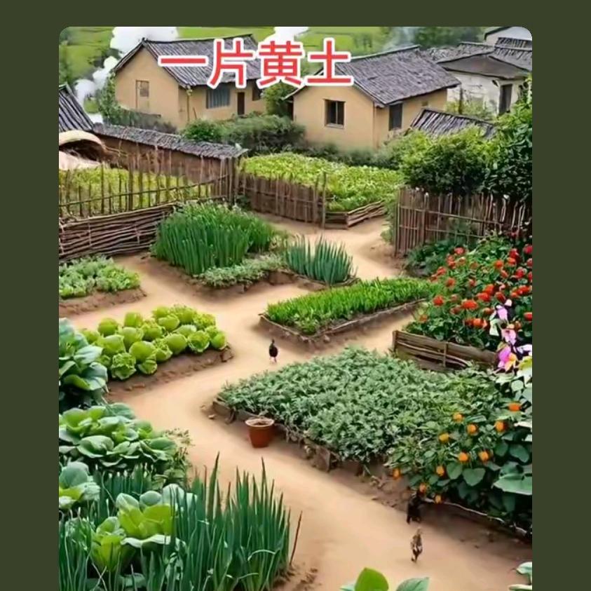 我们已踏上最后的班车