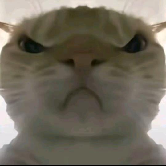 猛攻盾（三角洲行动）