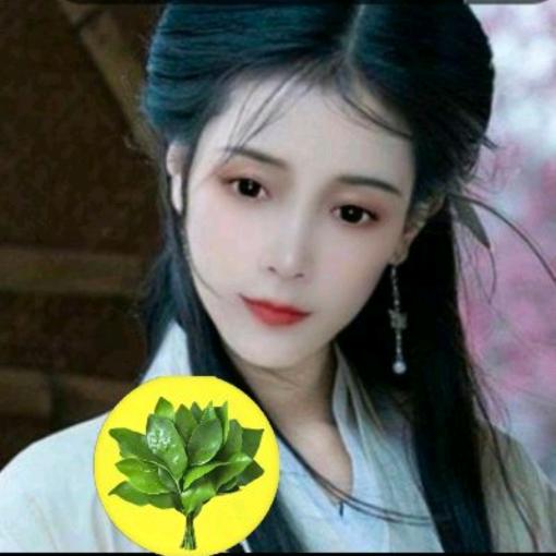 lx豆米～日进斗金