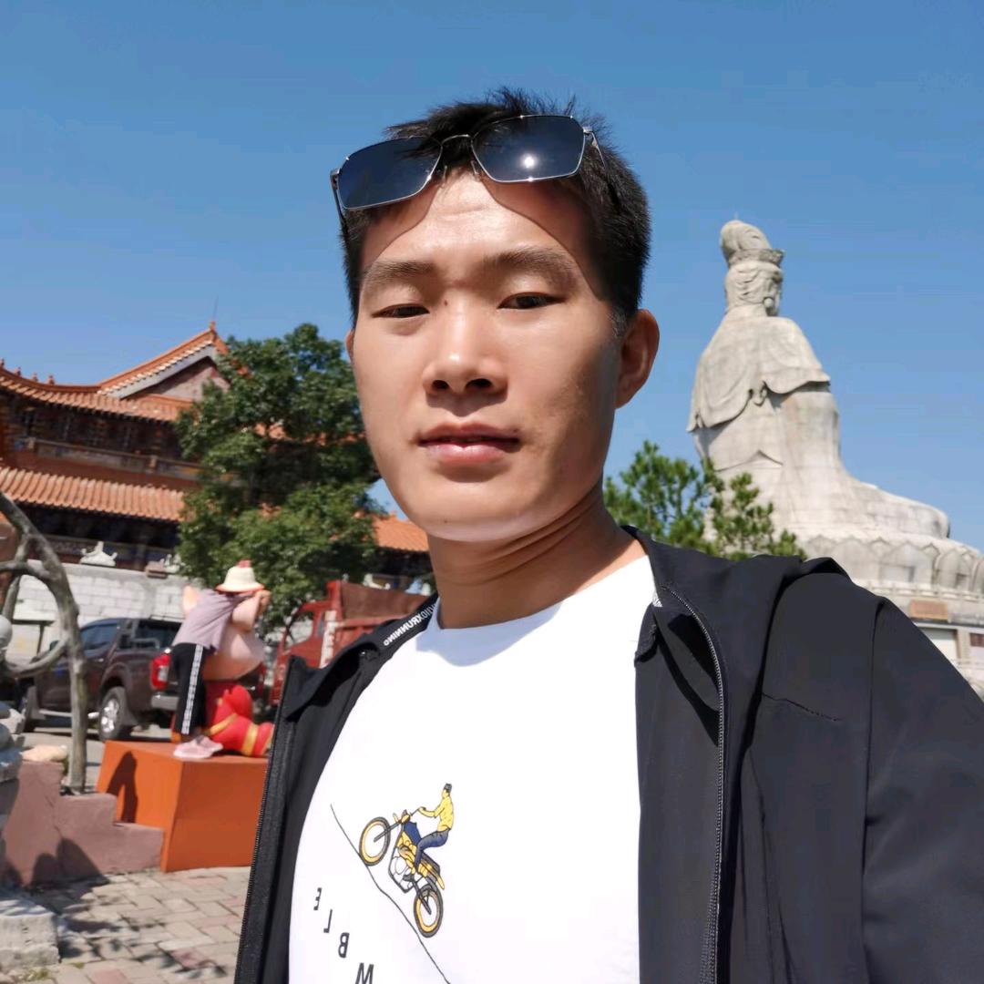 旺旺飞鱼