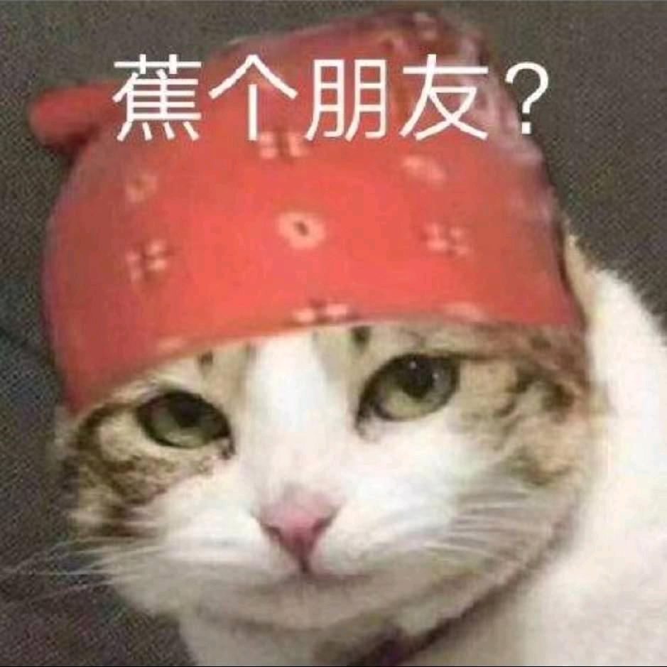 发财进宝