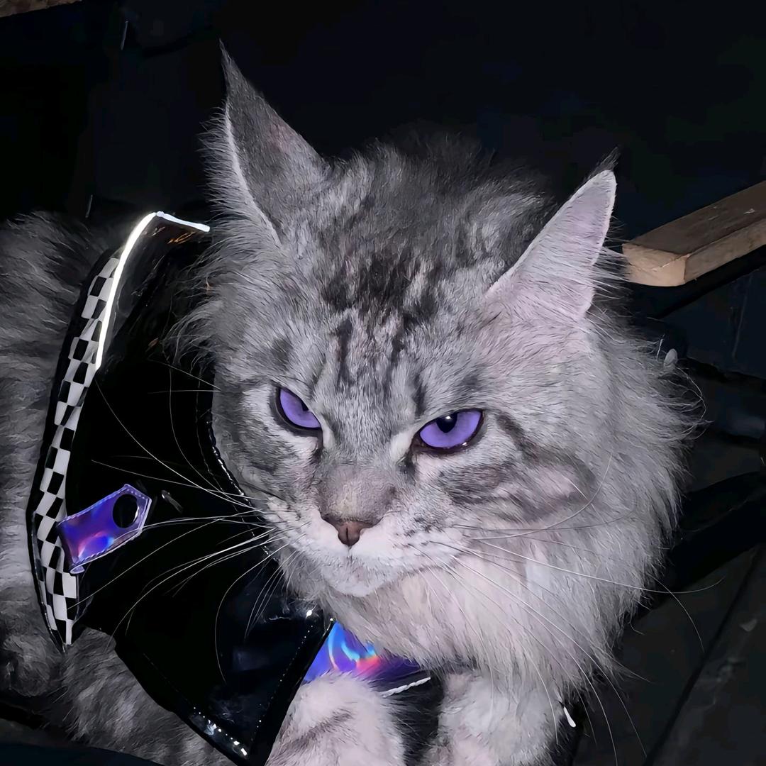 𝙃𝙚𝙩（接✂️）