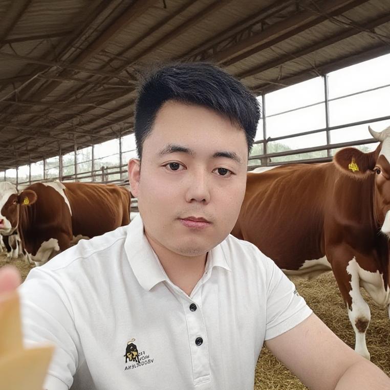 牛羊养殖张老师