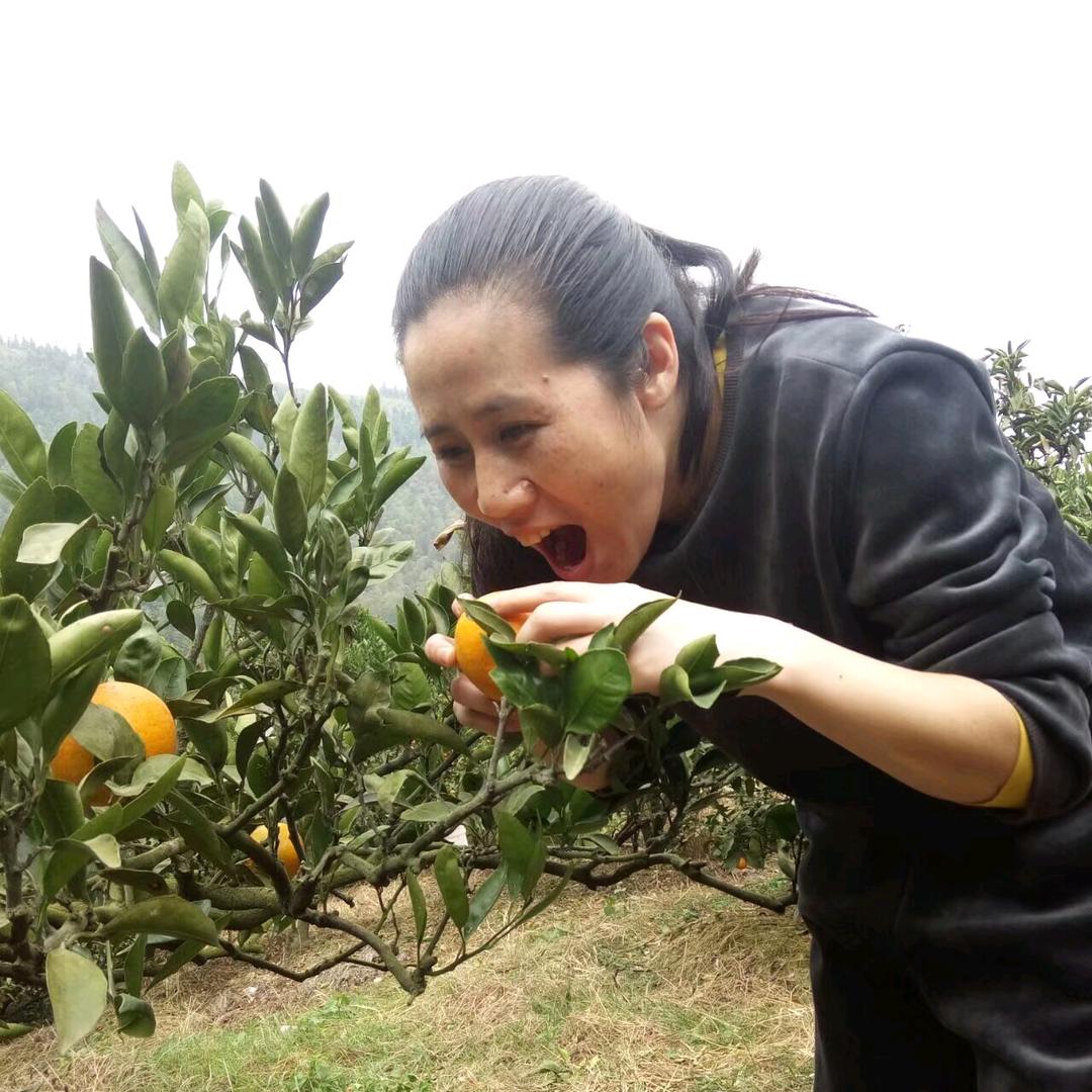 麻子夏