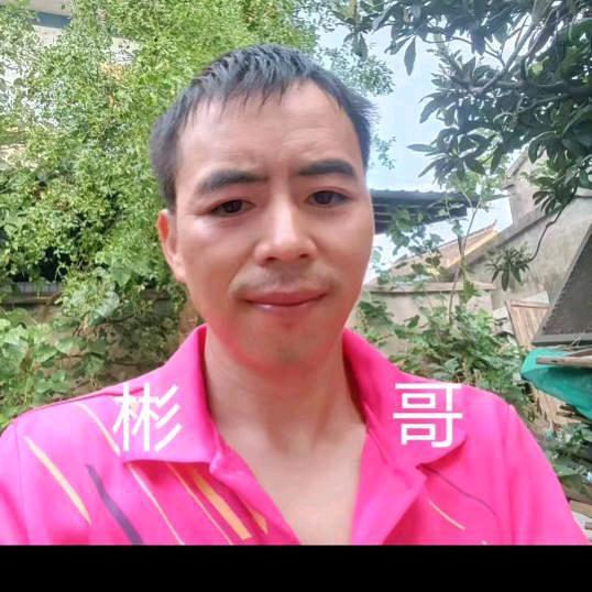 彬哥（晚八点开播）
