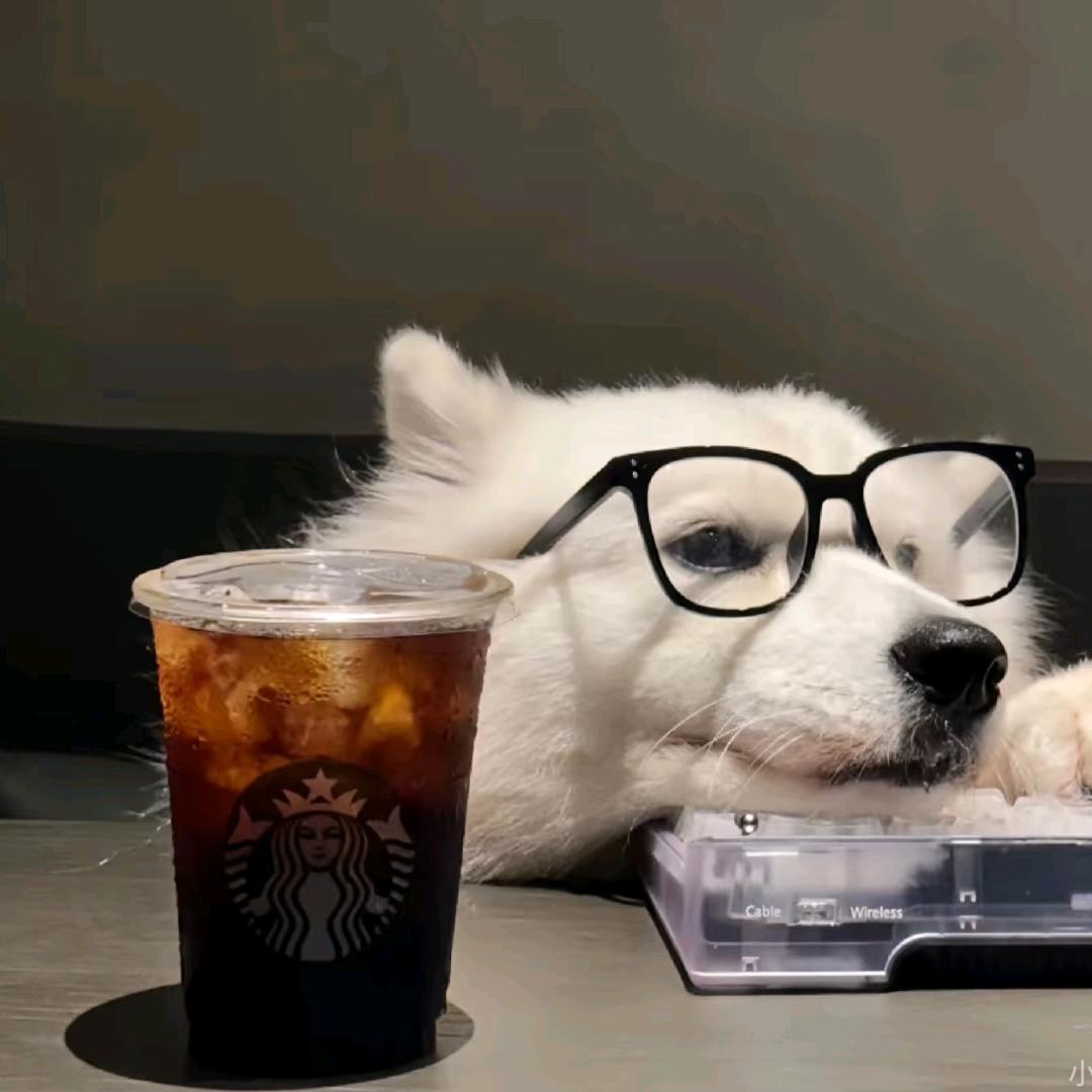 墨宸
