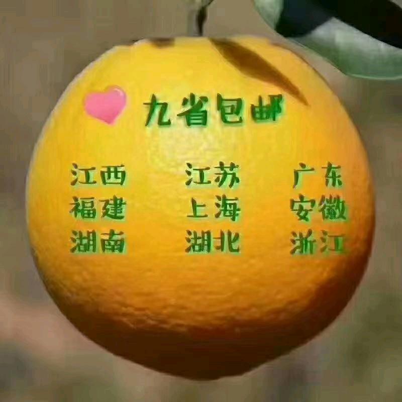 卖橙子的（江西安远人）