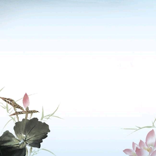 融年堂寅木1
