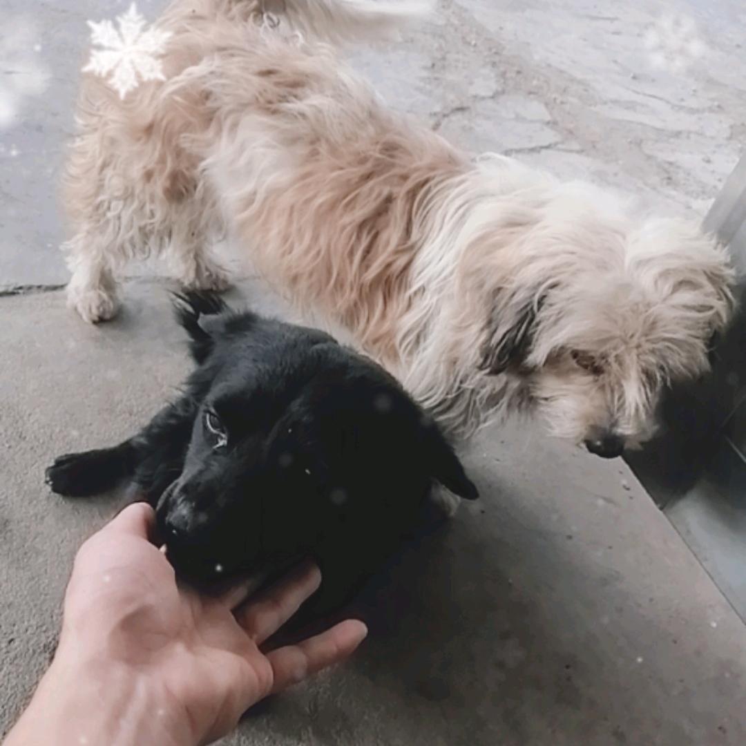 大嫂的男人，才叫大哥，