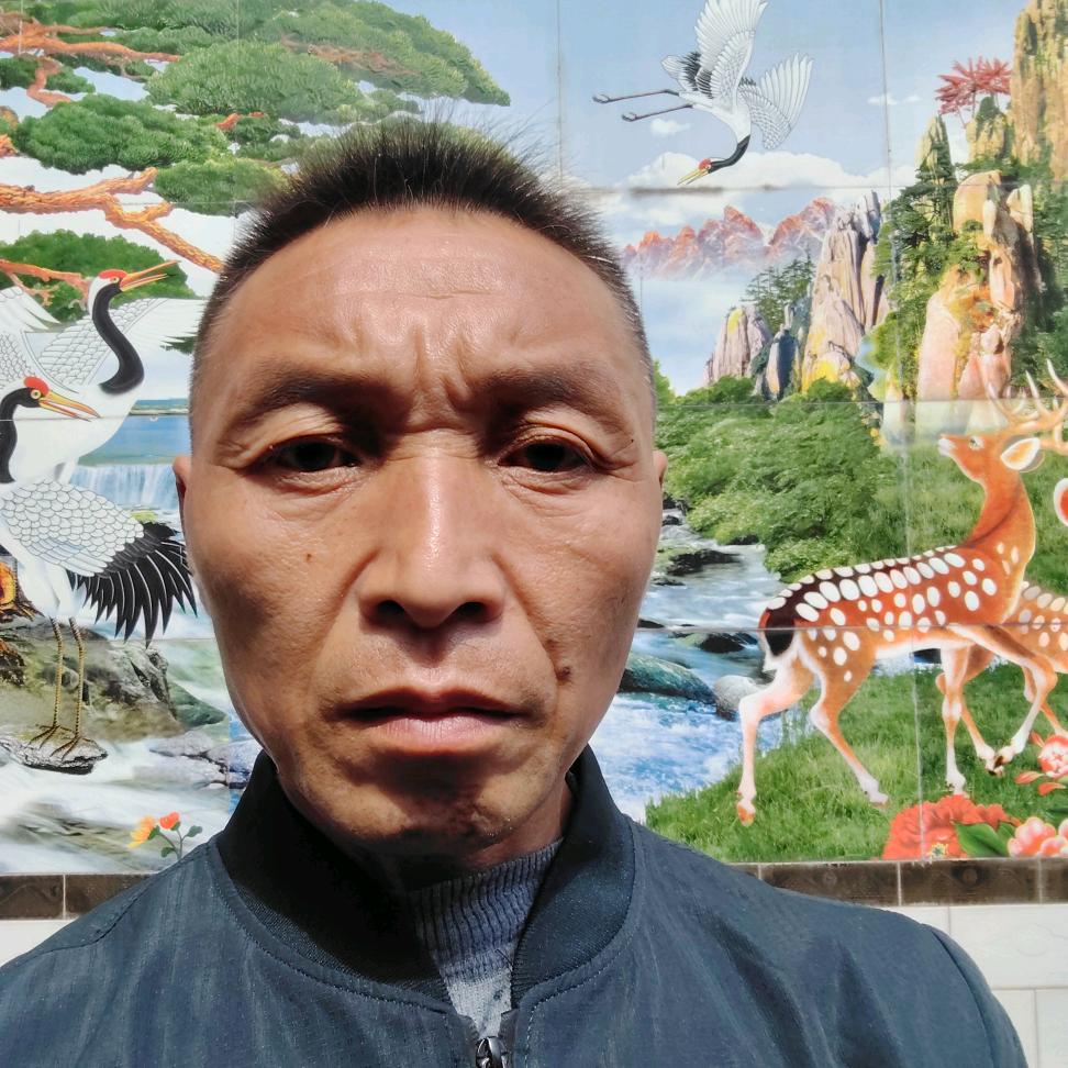 春去冬来，单身哥