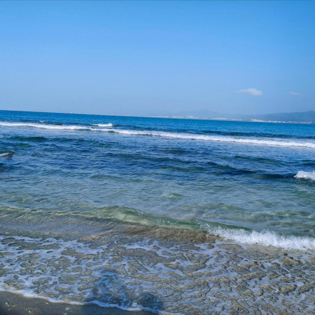 🐝回眸一笑🐝