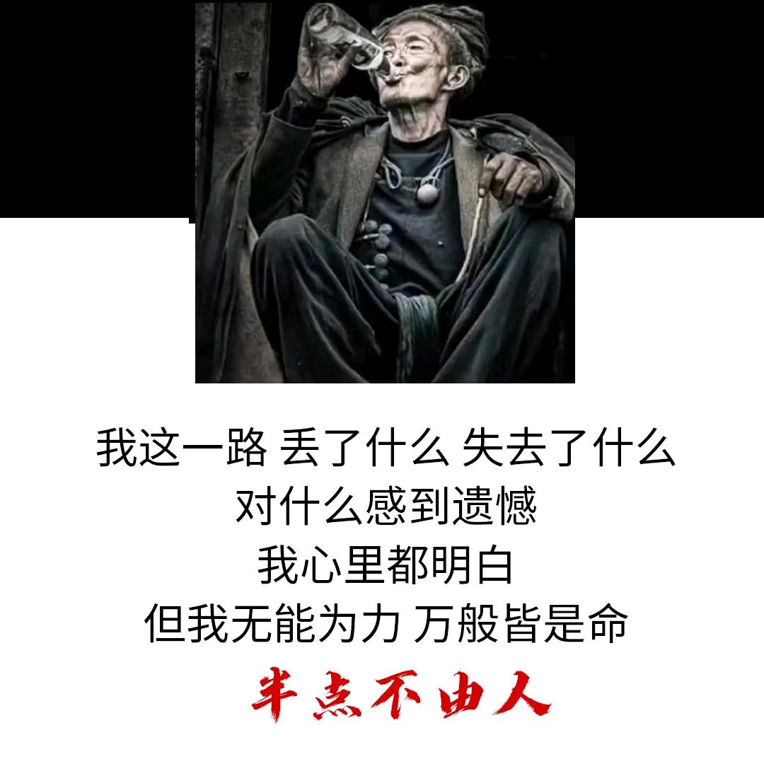 枫无痕¥