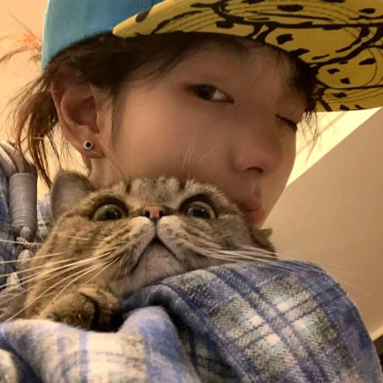 本汪困了💤