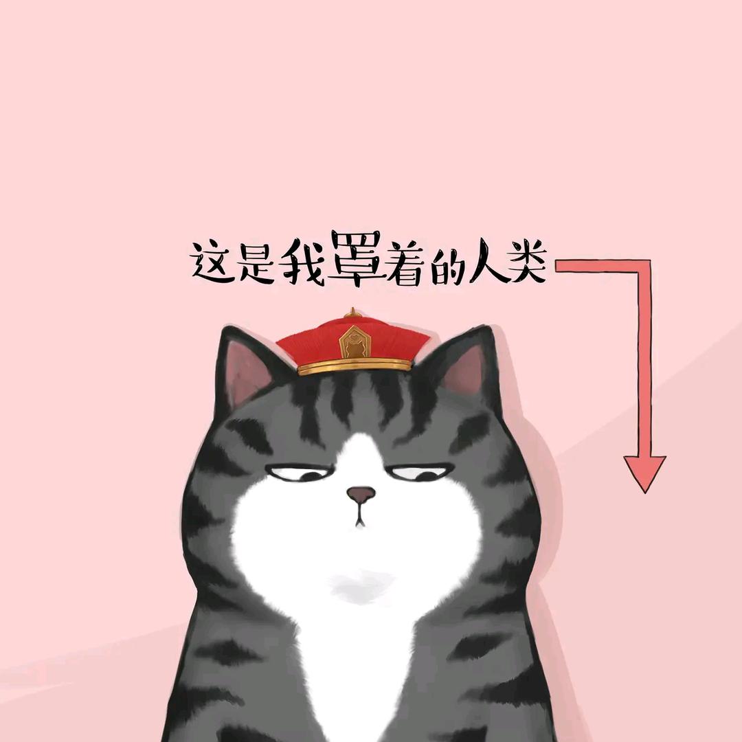 军曹小新