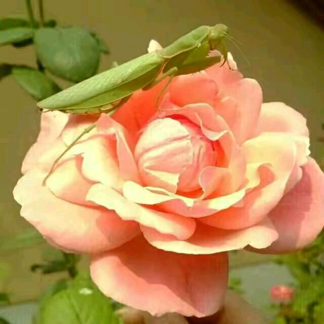 拿得起，放得下