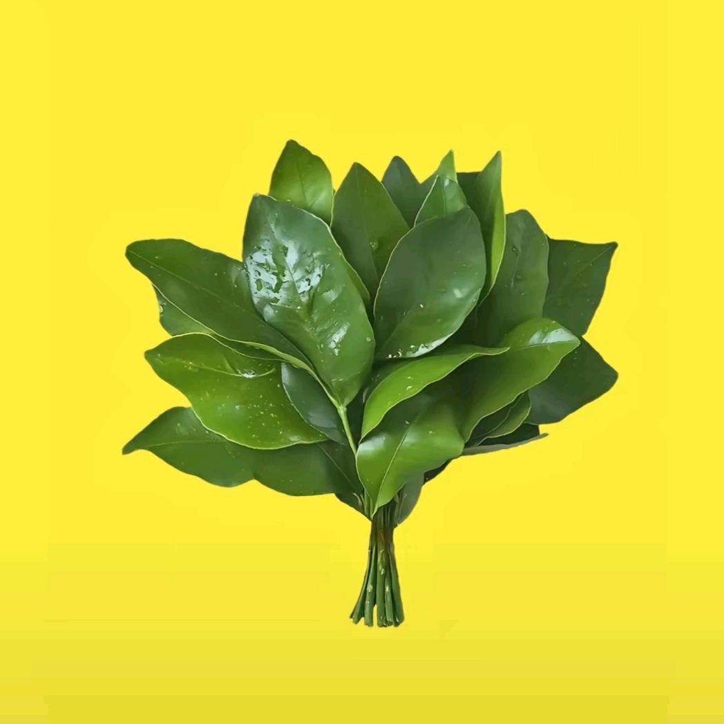 小满