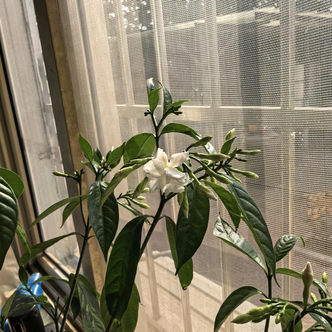 这个冬天不太冷