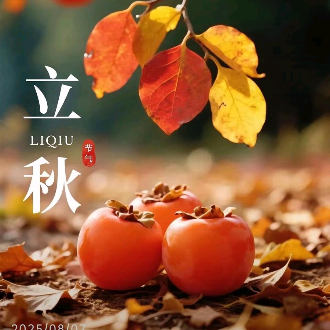 济南天道二手车