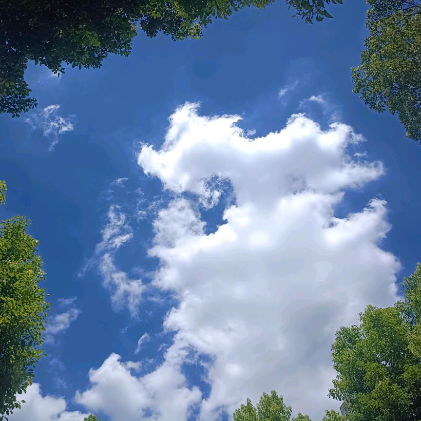 李火火