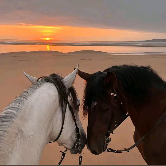 就爱开车打电话