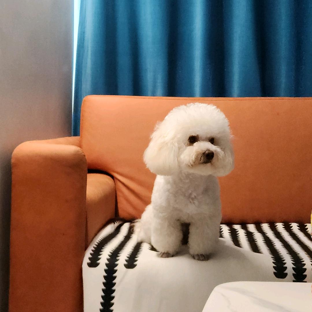 王胜王👦