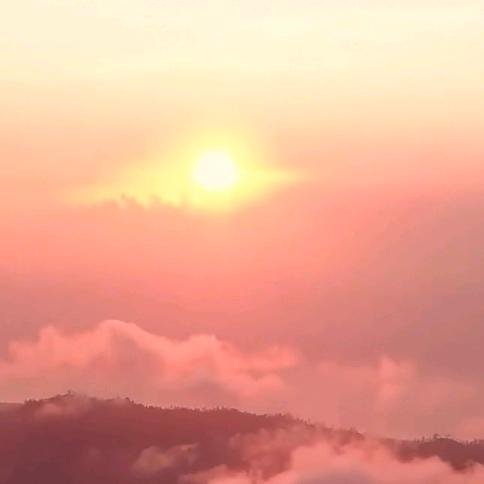 罗代凡张路队伍