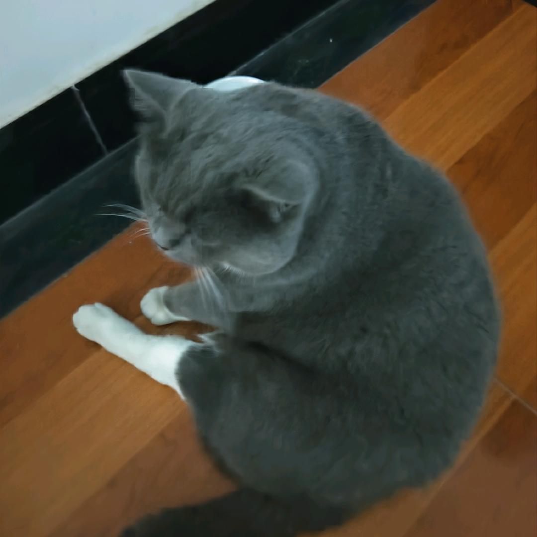 知尽颜欢
