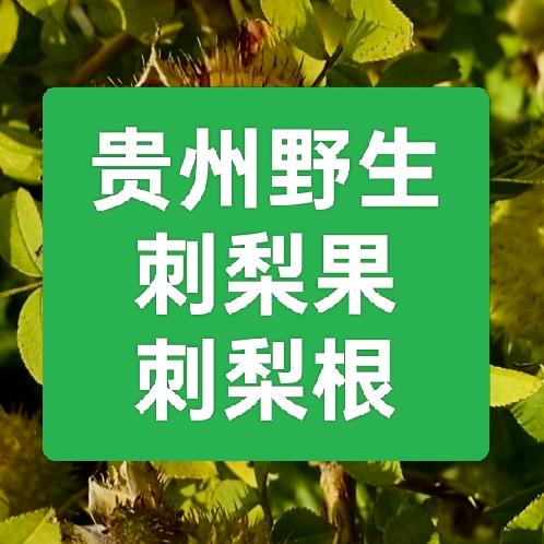 农村大饼哥