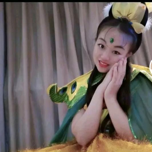耒阳小龙女