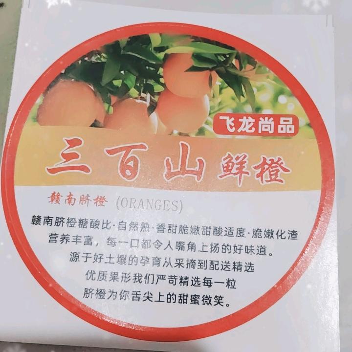 飞龙尚品
