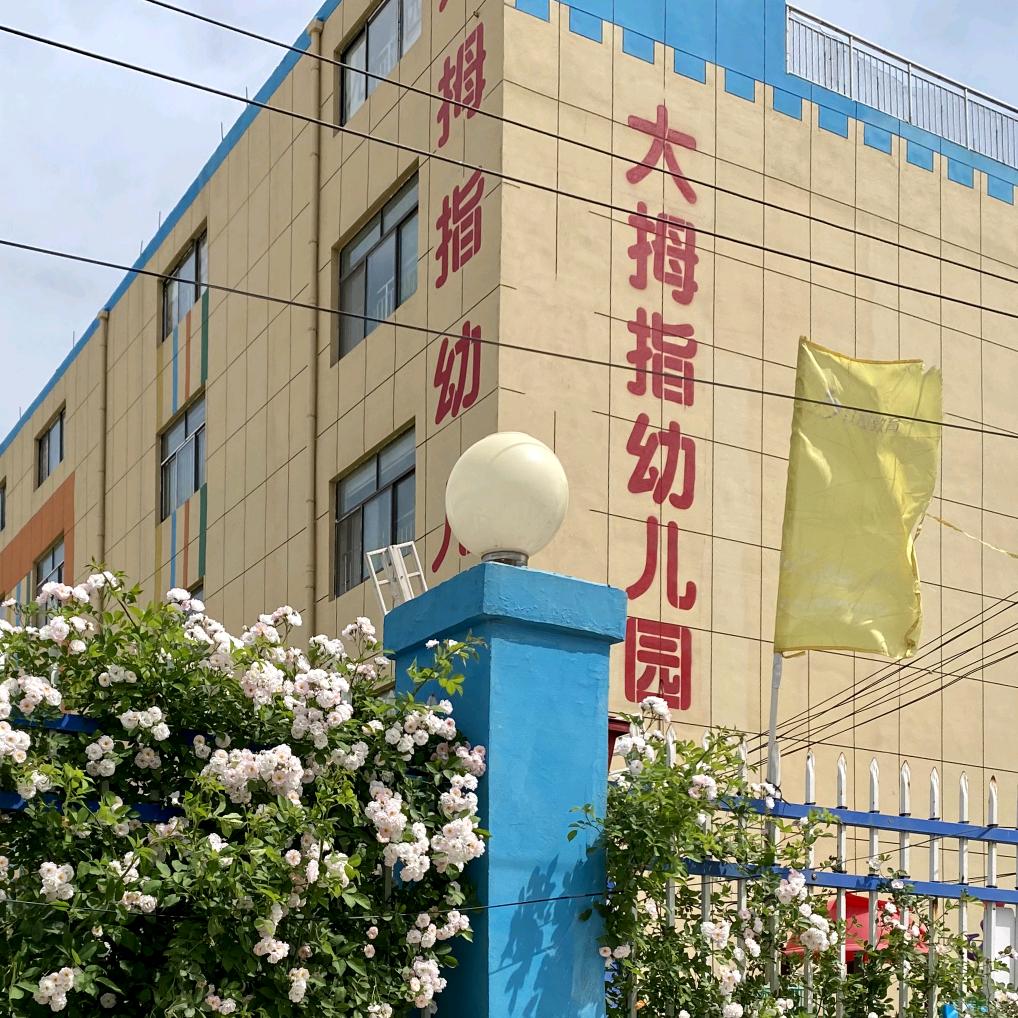 单县大拇指幼儿园