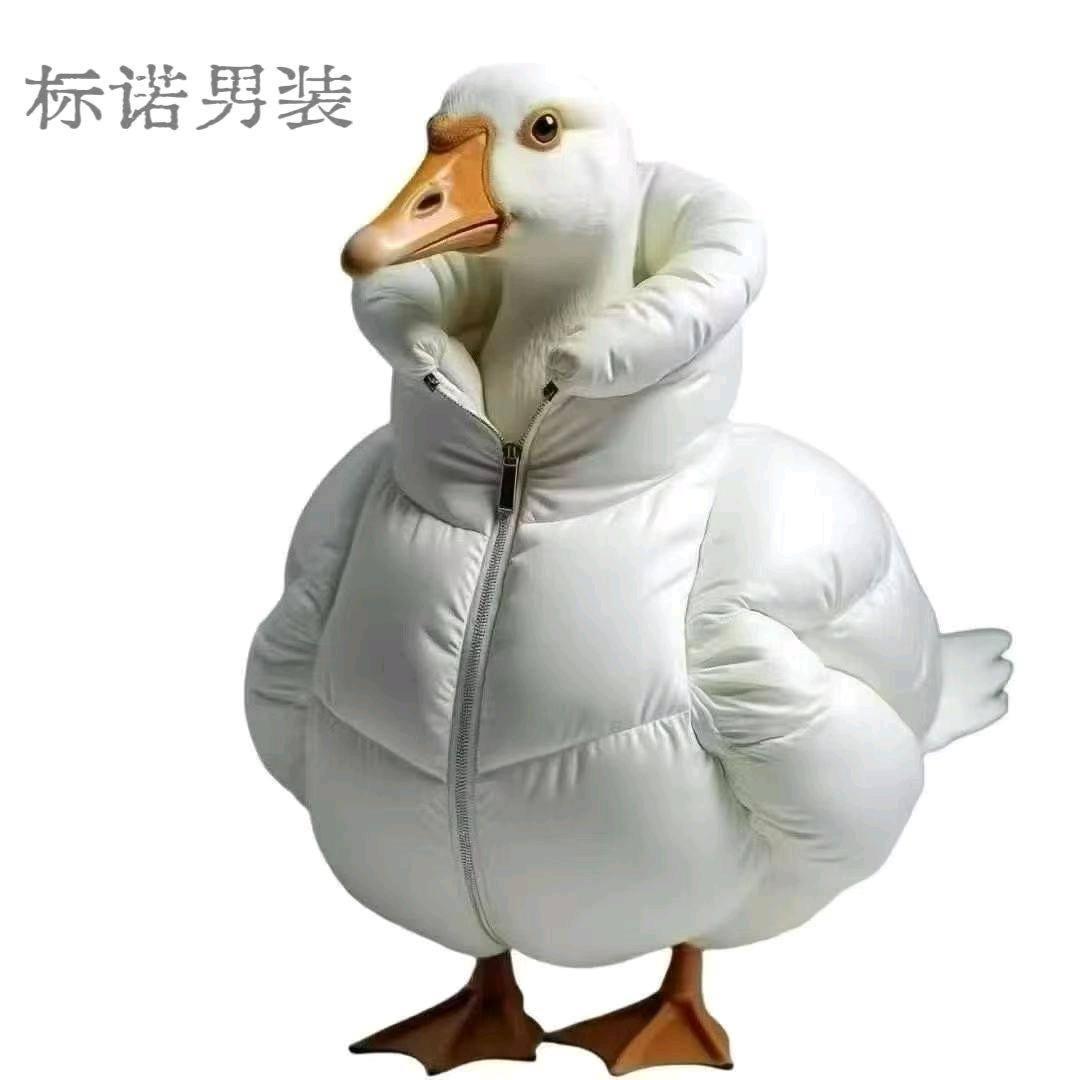 网红套大鹅