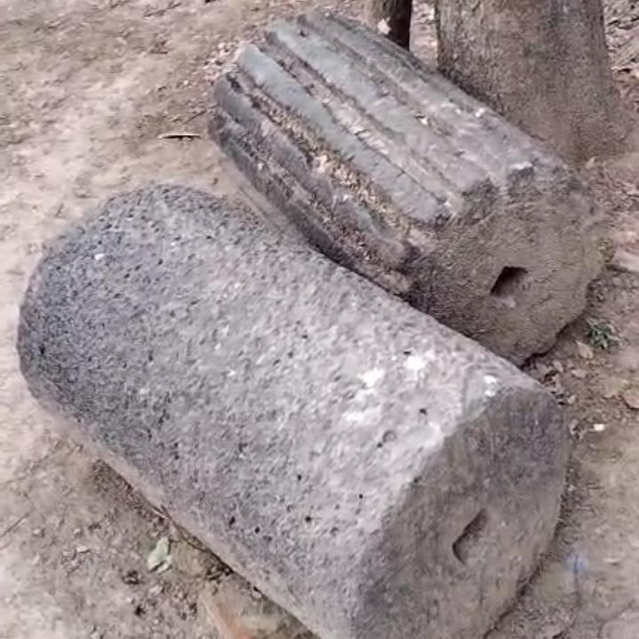 古龙