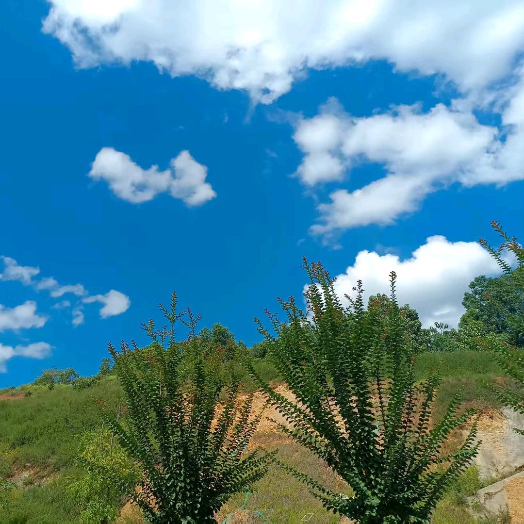 自强不息...开心😁