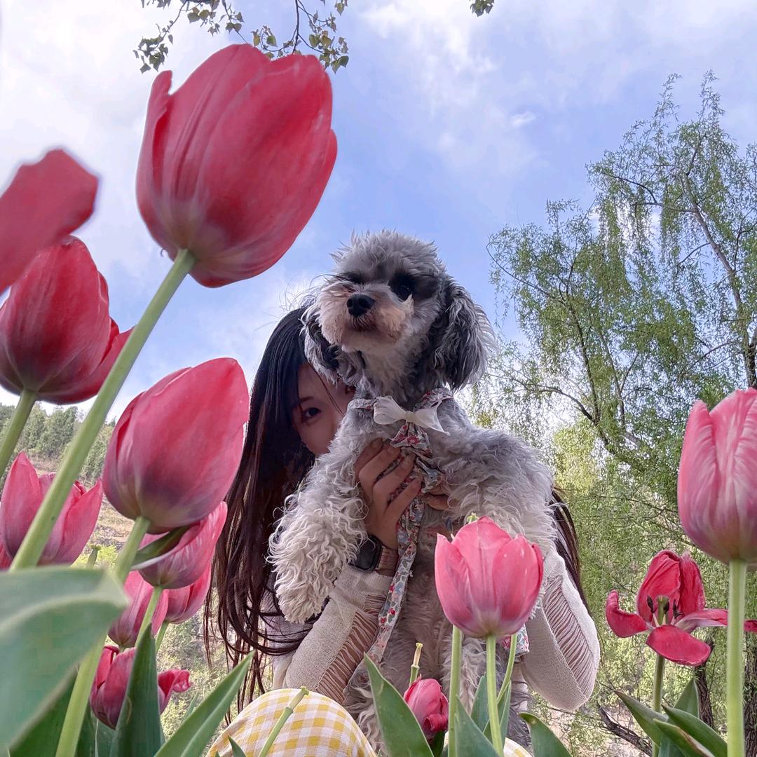 一口洋柿子（手动挡国道战神版）