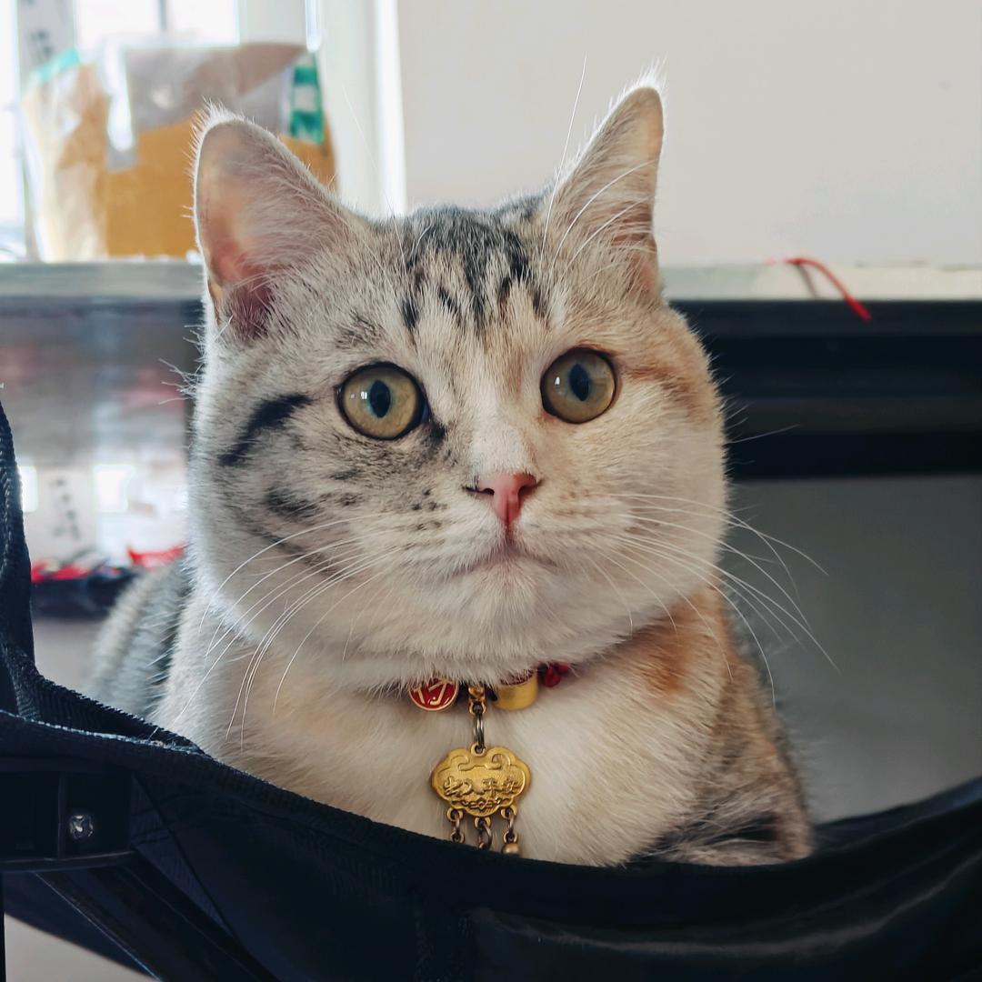 硕亿