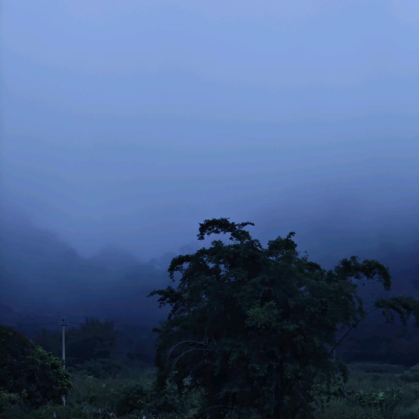 媳妇