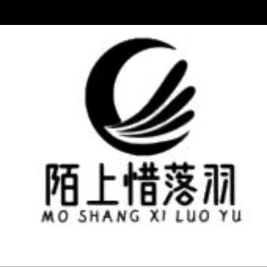 陌上惜落羽一羽绒被
