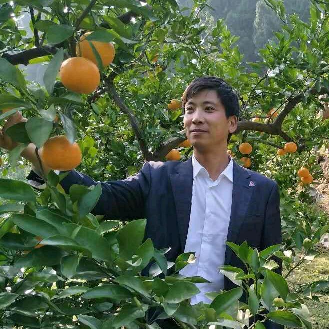 农村羊哥