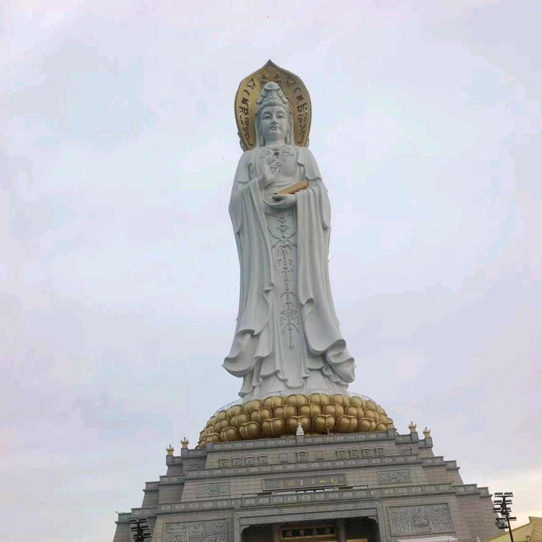感想感干