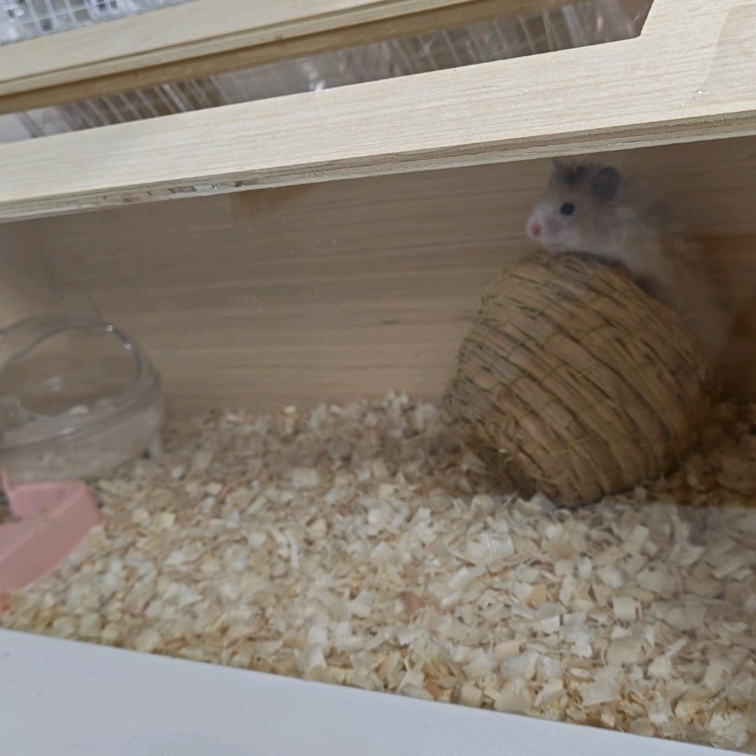 把开心分你一点