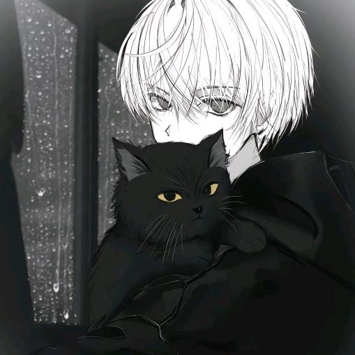 小⭐