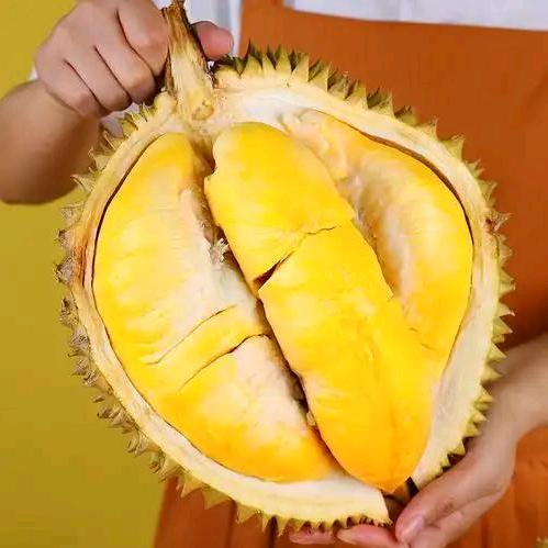 金枕榴莲(创产店)