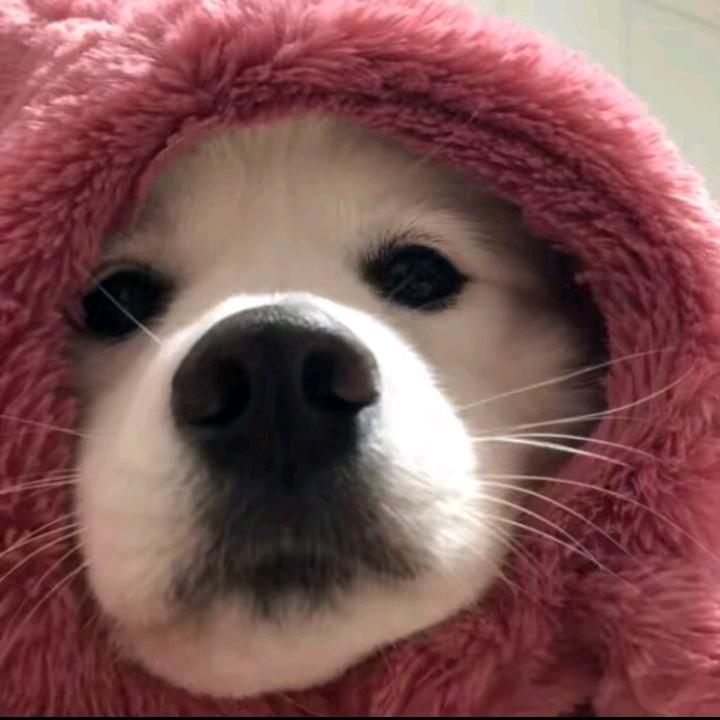 十个九🐑.