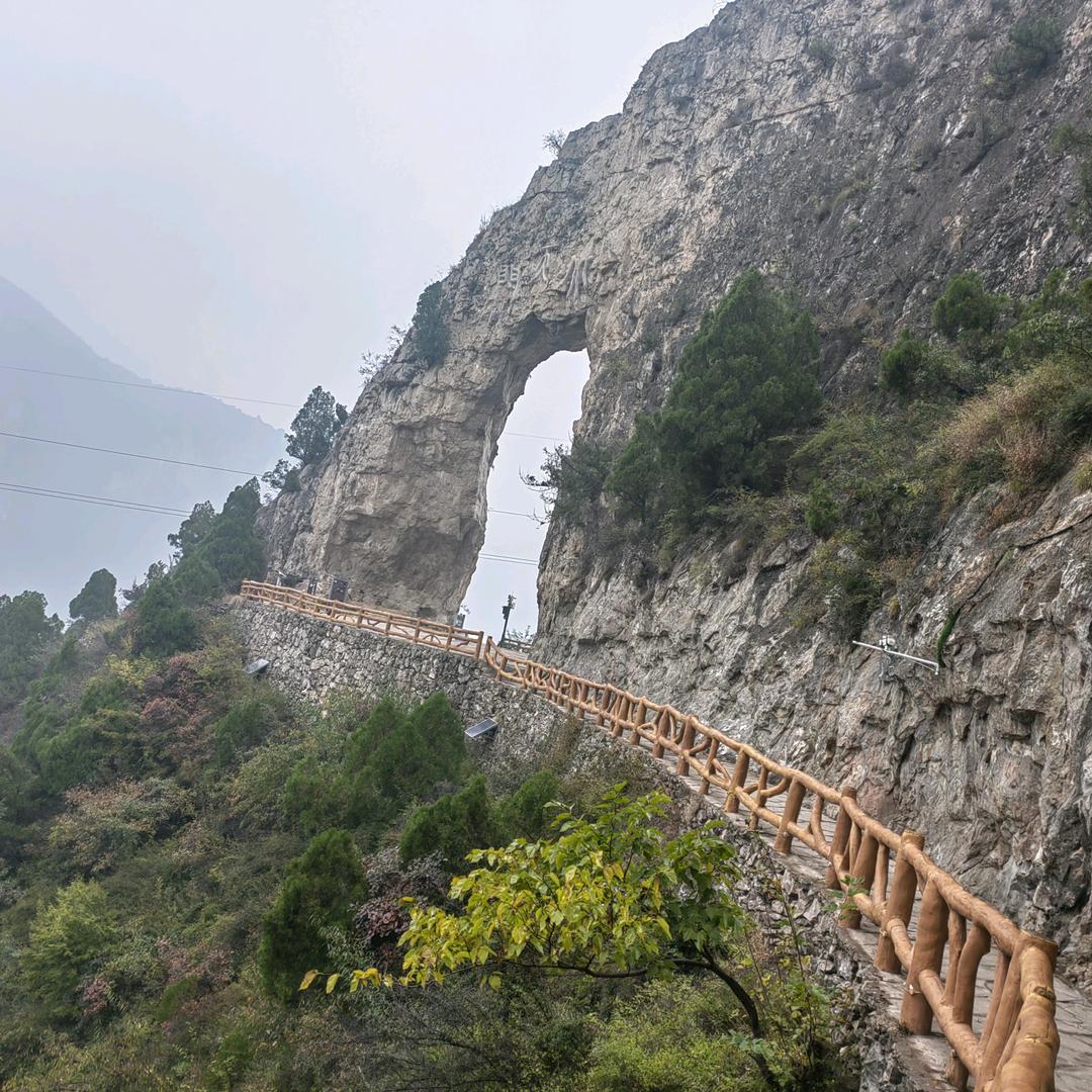 酒仙