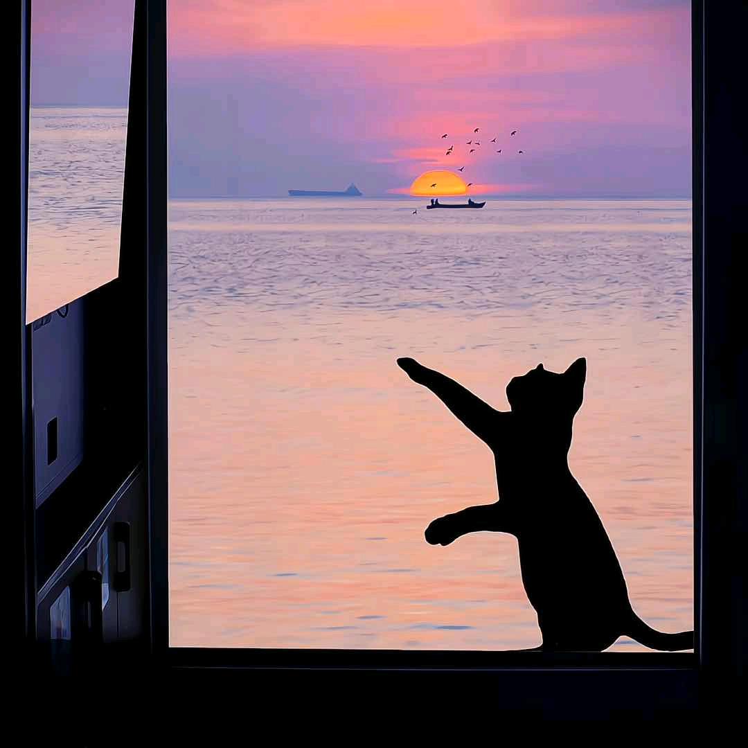 枫🍁